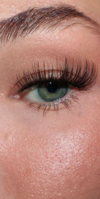 ZAYA Soft Luxe – Cluster Lash Kit